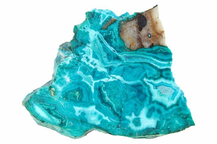 Polished Banded Chrysocolla Slice - Bagdad Mine, Arizona #298437